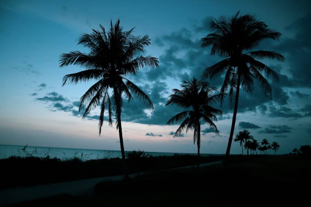 View of Captiva Island during sunset